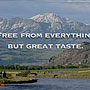 La Cense Beef Banner Ad Design