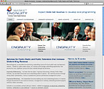 Market Enginuity Website Design