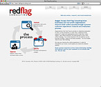 RedFlag Consulting Website Design