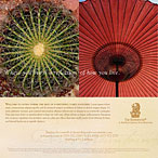 Advertising Design